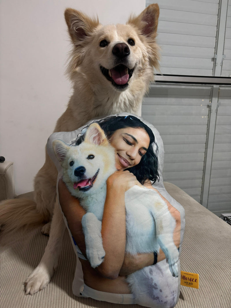 Custom Pillow